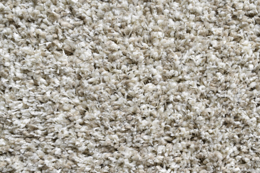 Twilight_2211_detail06